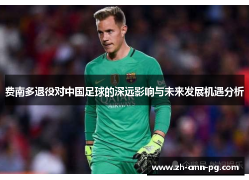 费南多退役对中国足球的深远影响与未来发展机遇分析