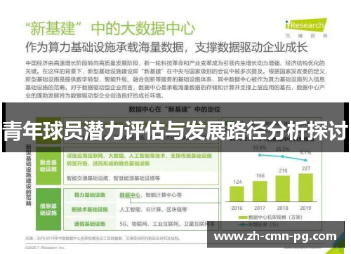 青年球员潜力评估与发展路径分析探讨