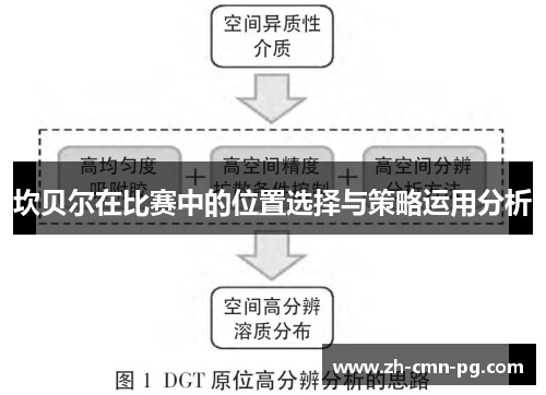坎贝尔在比赛中的位置选择与策略运用分析