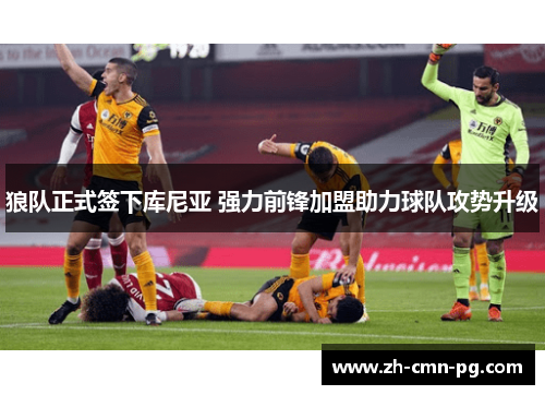 狼队正式签下库尼亚 强力前锋加盟助力球队攻势升级